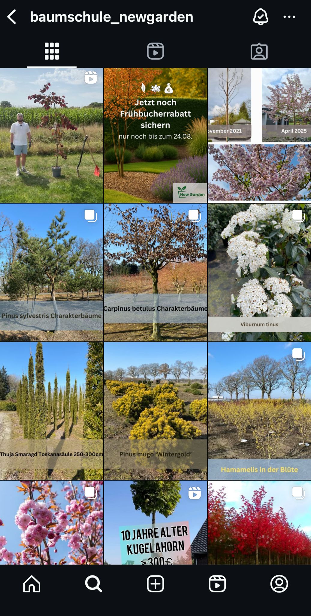 Instagram-Feed der Baumschule NewGarden